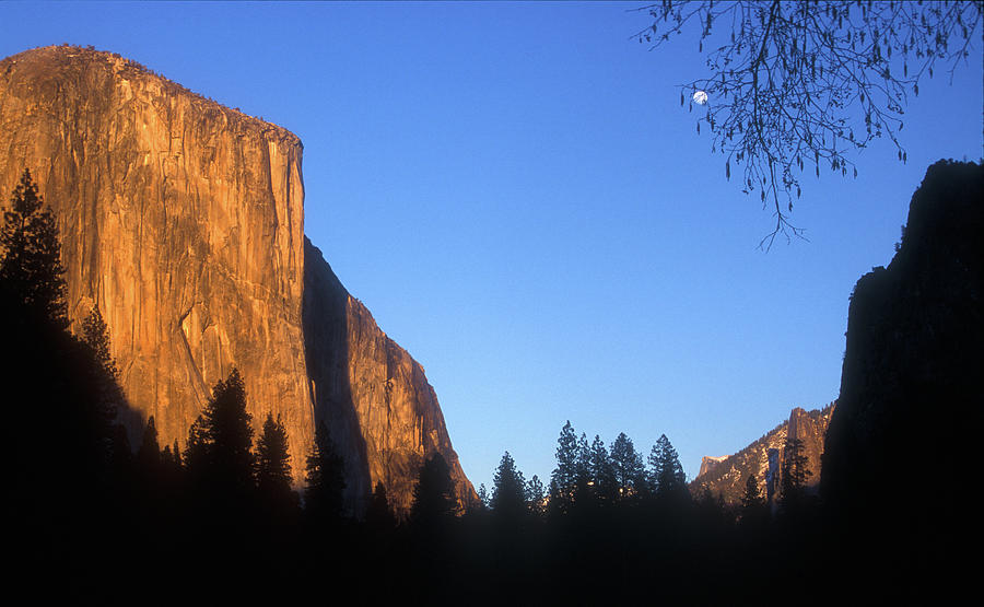 Yosemite Valley Evening Light Photograph by John Burk