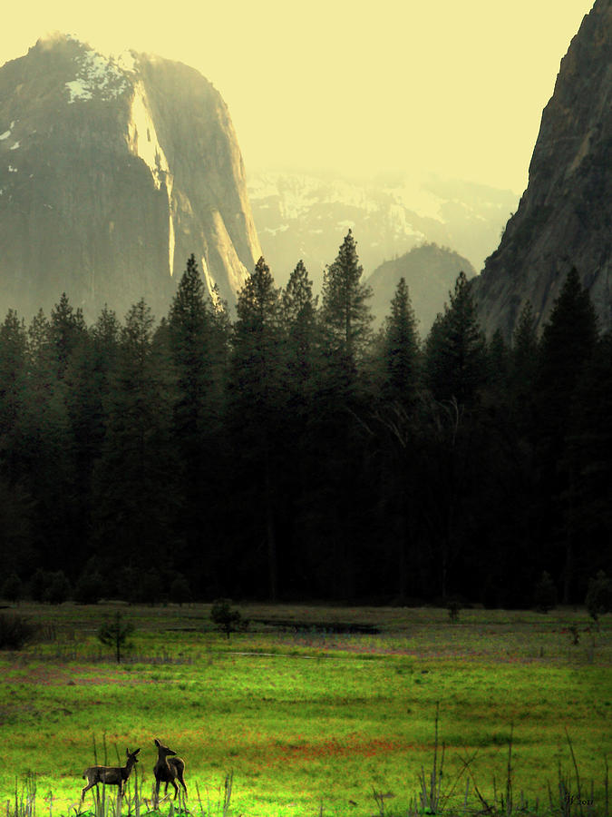 Yosemite Valley Golden . Vertical Photograph by Wingsdomain Art and Photography