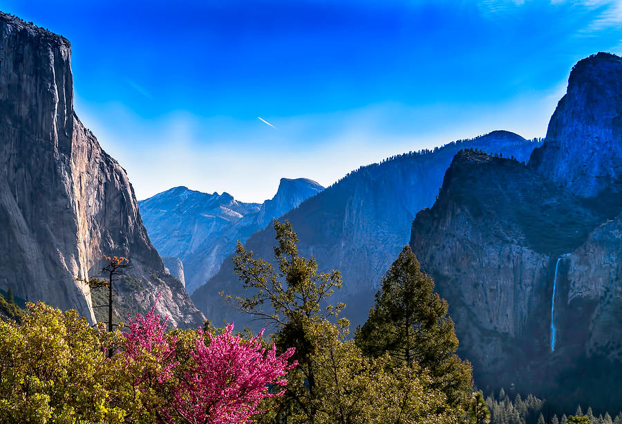 Yosemite Valley Photograph by Harold Coleman