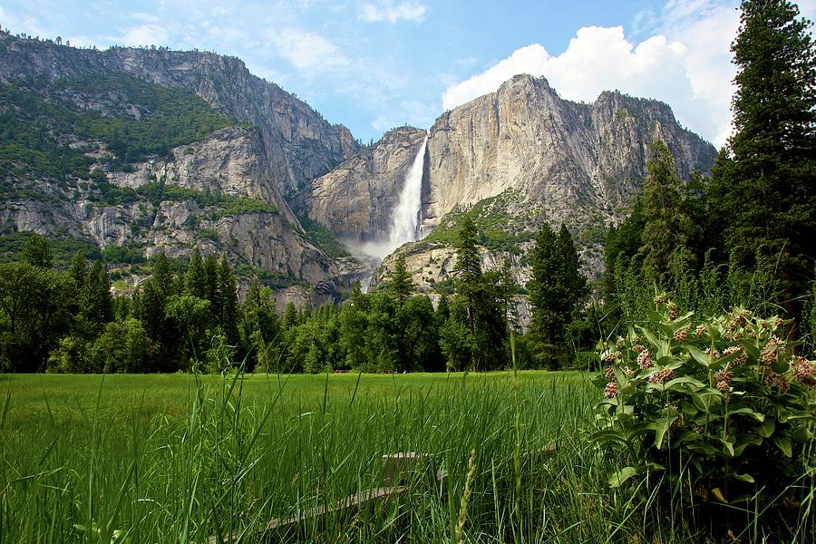 Yosemite Valley in Summer Photograph by Doug Rogahn Fine Art ...