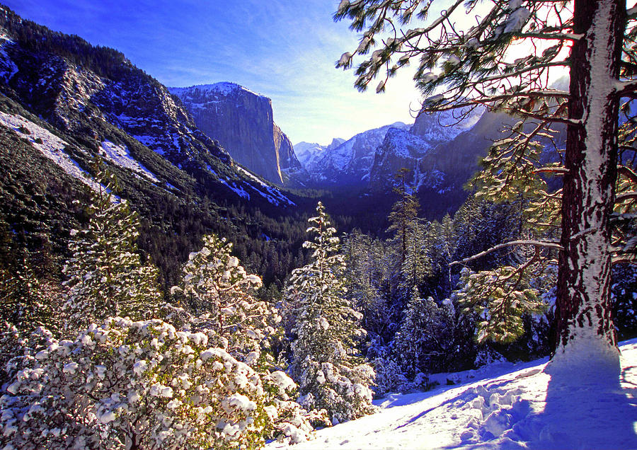Yosemite Valley in winter, California Photograph by Gary Corbett