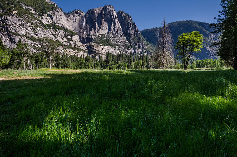 Yosemite National Park Photograph - Yosemite Valley by Ingo Scholtes