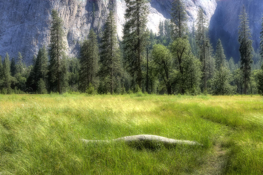 Yosemite Valley Photograph by Michael Cleere