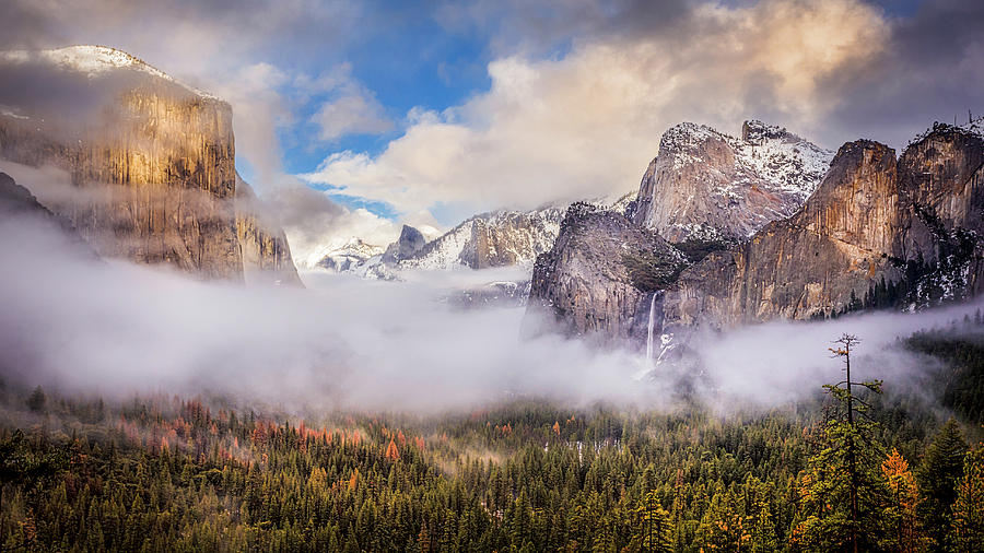Yosemite National Park Photograph - Yosemite Valley by Paul Looyen
