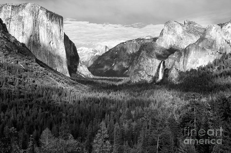 Yosemite Valley Photograph by Sandra Bronstein