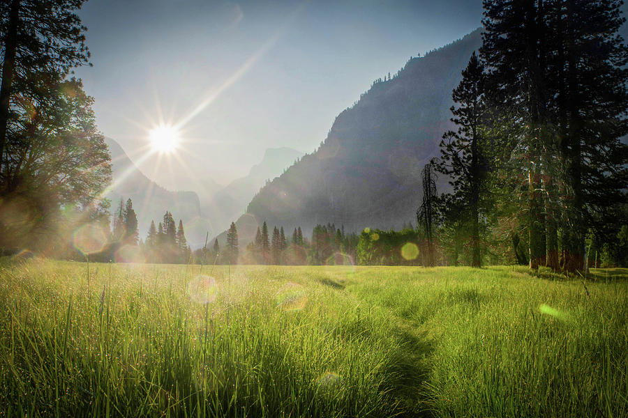 Yosemite Valley Sunrise Photograph by Colin Collins