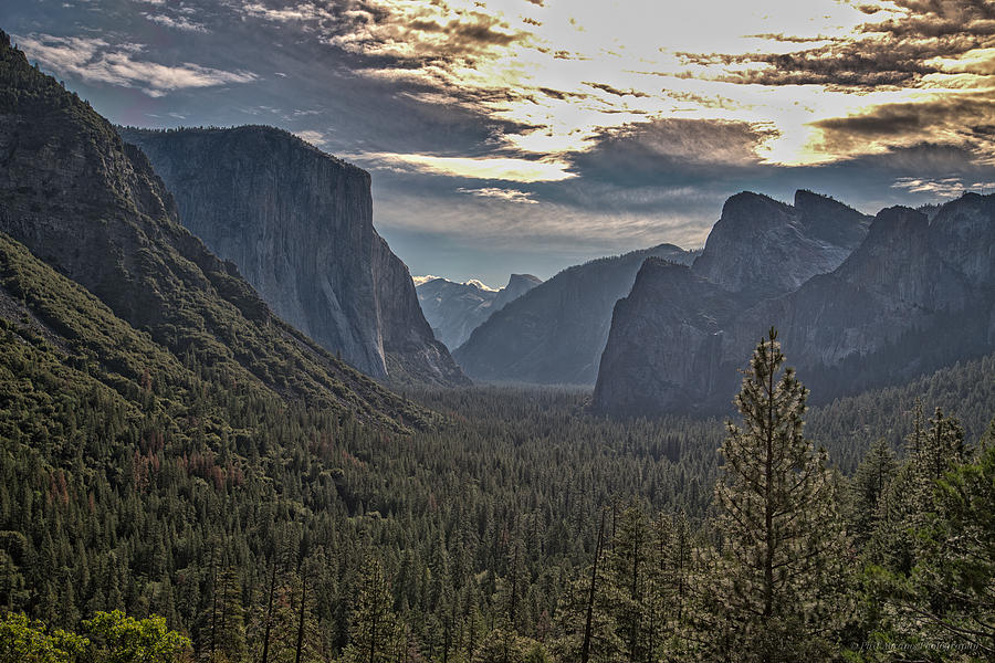 Yosemite Valley Sunrise Photograph by Phil Abrams