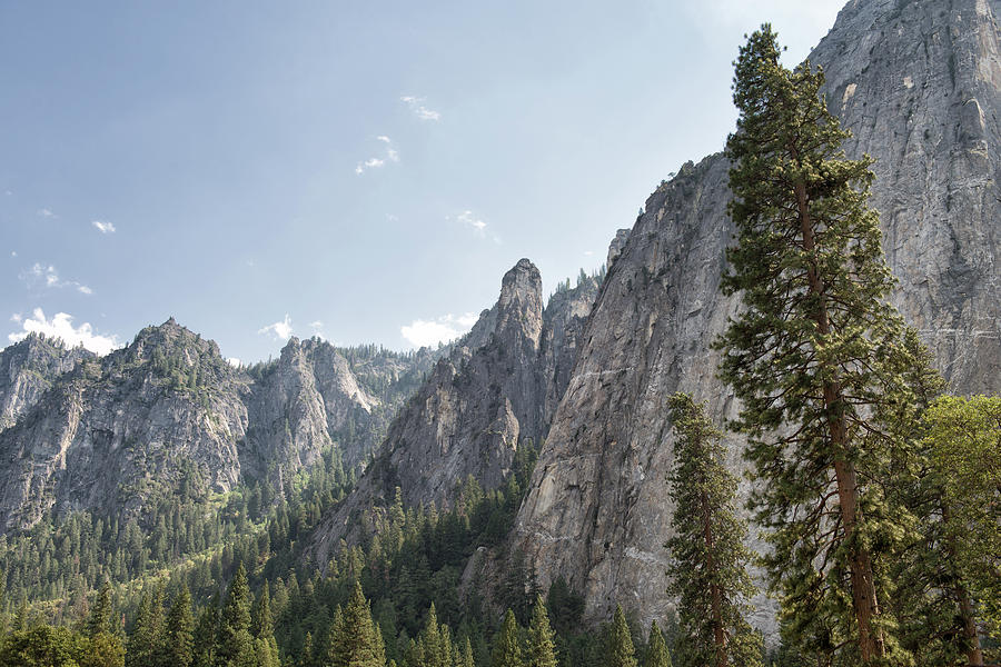 Yosemite Valley Surroundings - Yosemite National Park - California Photograph