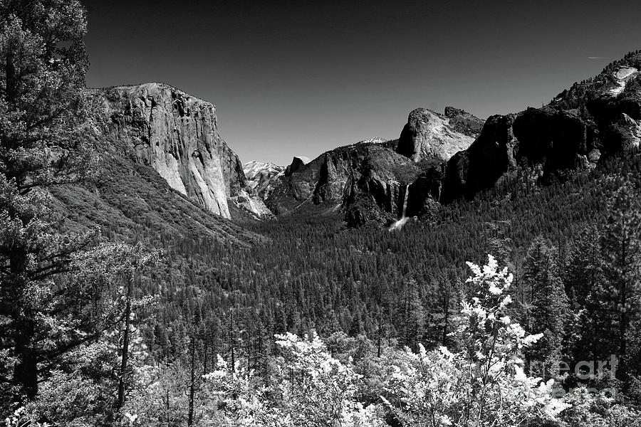 Yosemite Valley View Photograph by Christiane Schulze Art And Photography