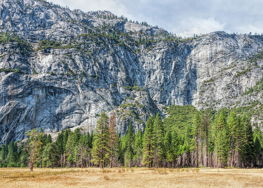 Yosemite Valley Wall Photograph by John M Bailey