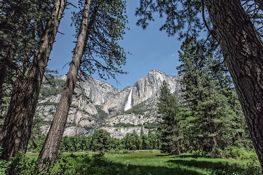 Yosemite View 13 Photograph by Ryan Weddle