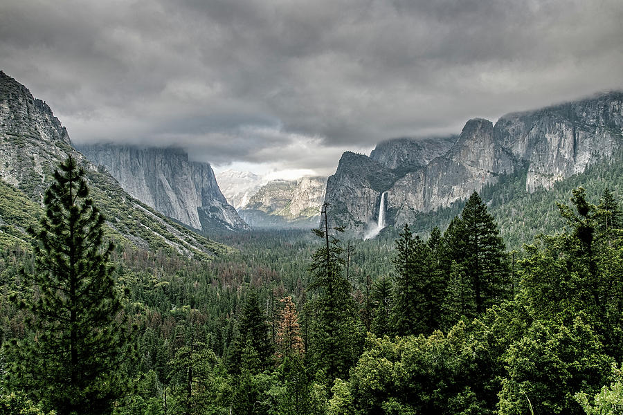 Yosemite View 36 Photograph by Ryan Weddle