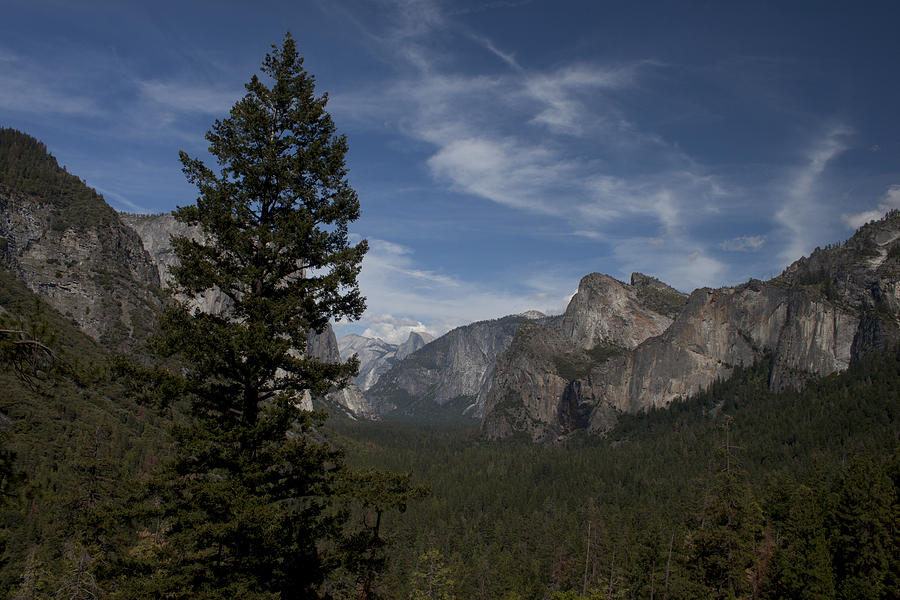 Yosemite View Photograph by Ivete Basso Photography