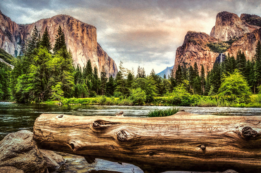 Yosemite View Photograph by Maria Coulson