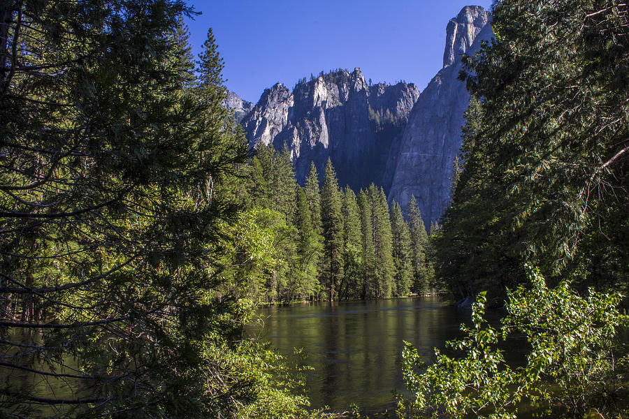 Yosemite water and trees Photograph by John McGraw