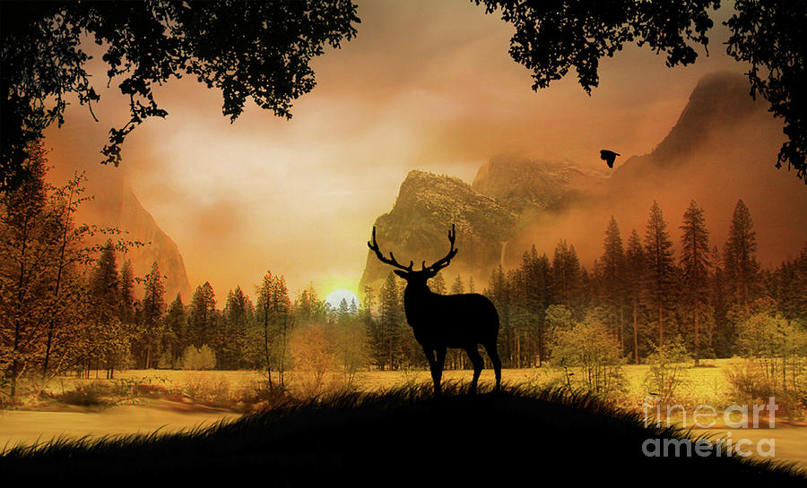Yosemite with Elk, waterfall in sunset colors Photograph by Stephanie Laird