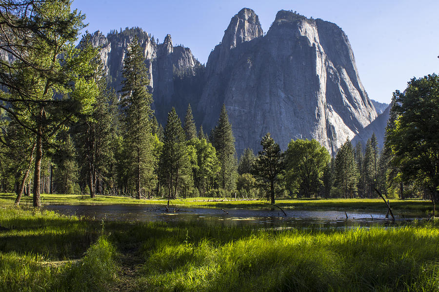 Yosemite with light beams Photograph by John McGraw