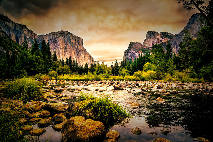 Yosemites Valley View Across The Merced River 2 Photograph By Paul
