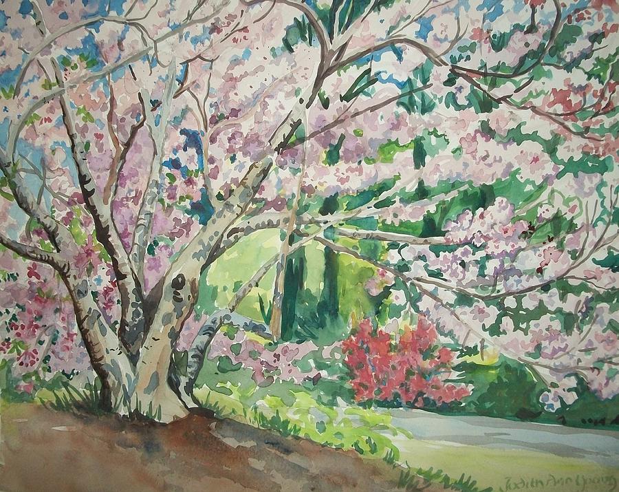 Yoshino Cherry Trees Painting by Judith Young