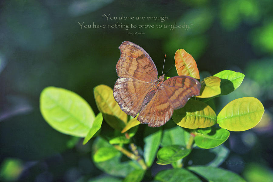 You Alone Are Enough Photograph by Maria Angelica Maira