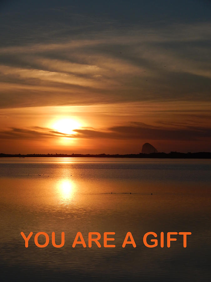 You Are A Gift Photograph by Gallery Of Hope 