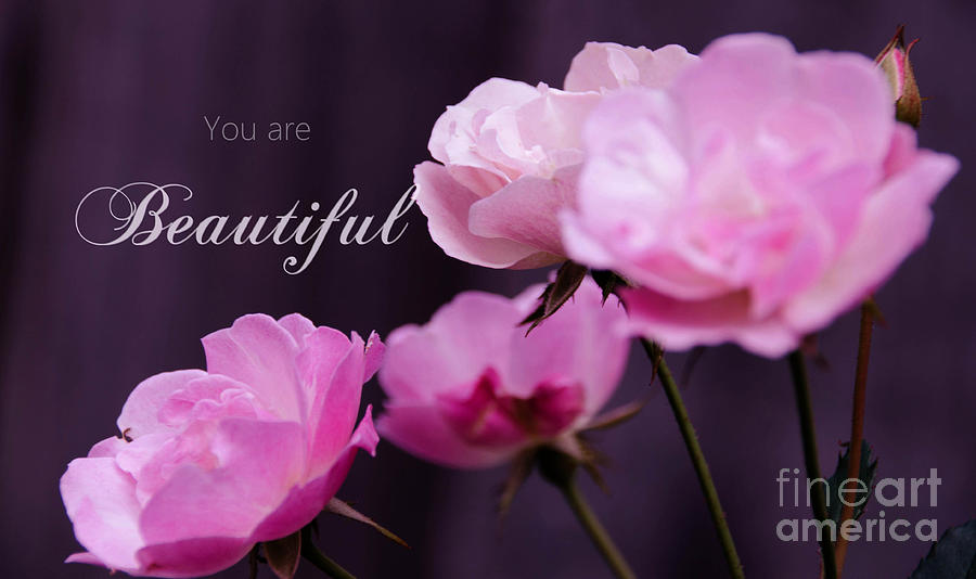 You are Beautiful 2 Photograph by Andrea Anderegg