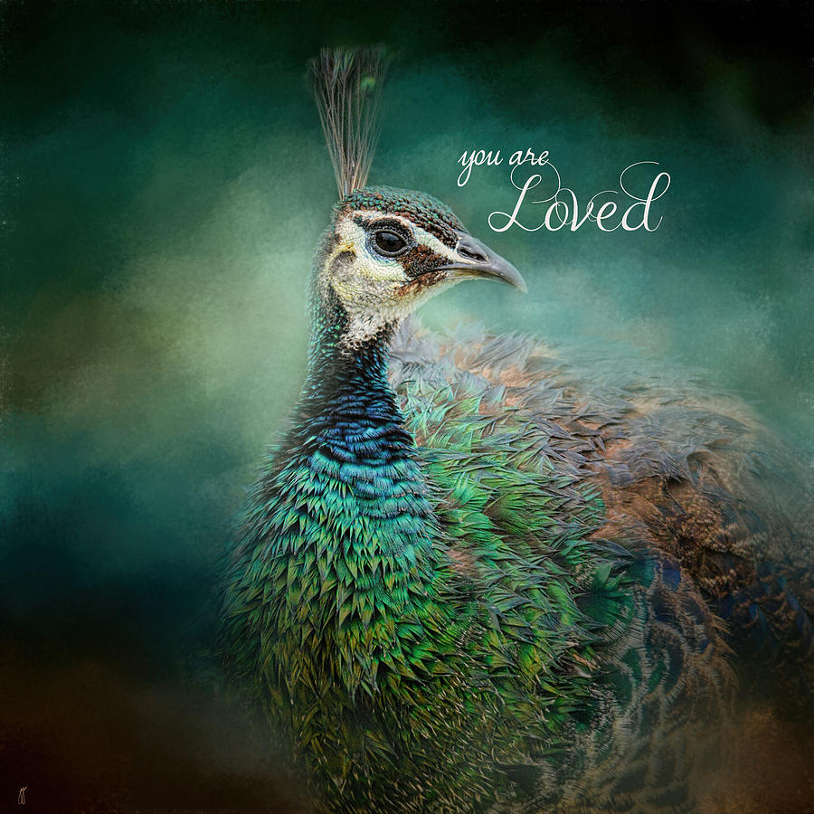 You Are Loved - Peacock Art Photograph by Jai Johnson
