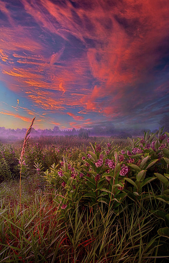 You Are My Life Photograph by Phil Koch