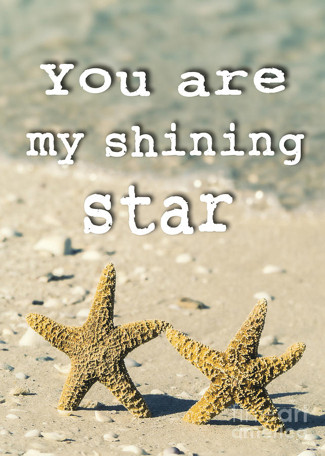 You are my shining star Photograph by Edward Fielding