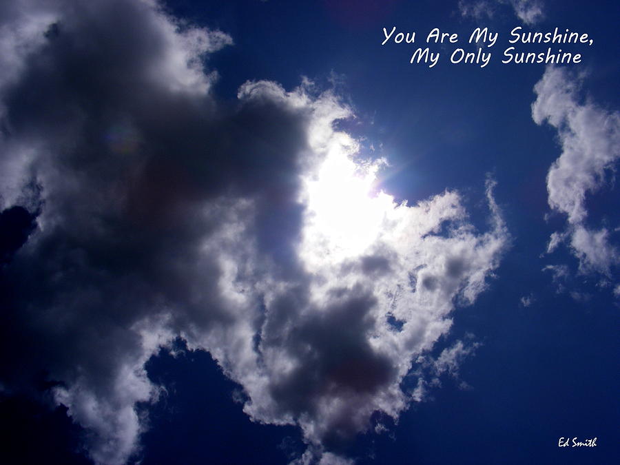 You Are My Sunshine Photograph by Edward Smith