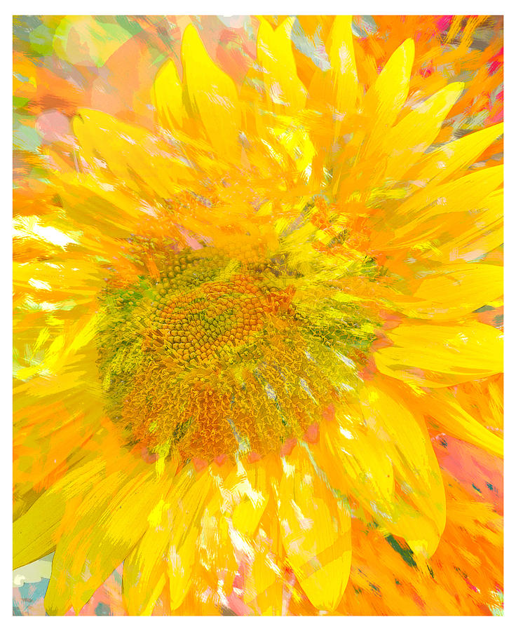 Sunflower Sunshine Digital Art by Jill Love