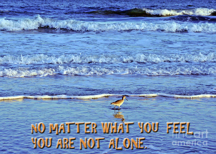 You Are Not Alone Photograph by Lydia Holly