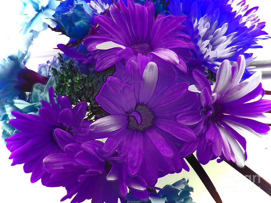 You Cannot Help But Love Beautiful Colored Flowers Photograph