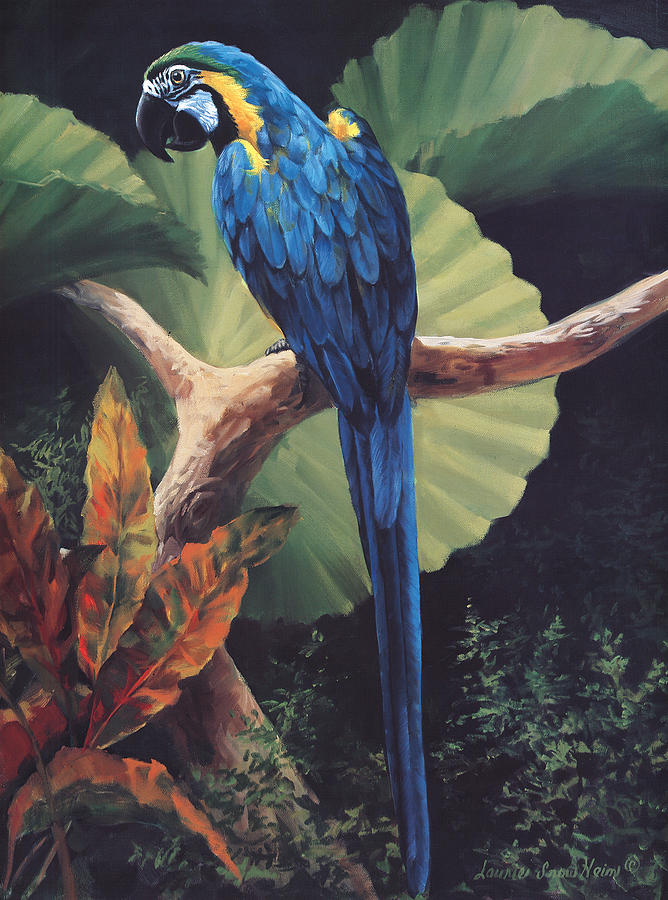 Macaw Painting - You Dont Say by Laurie Snow Hein
