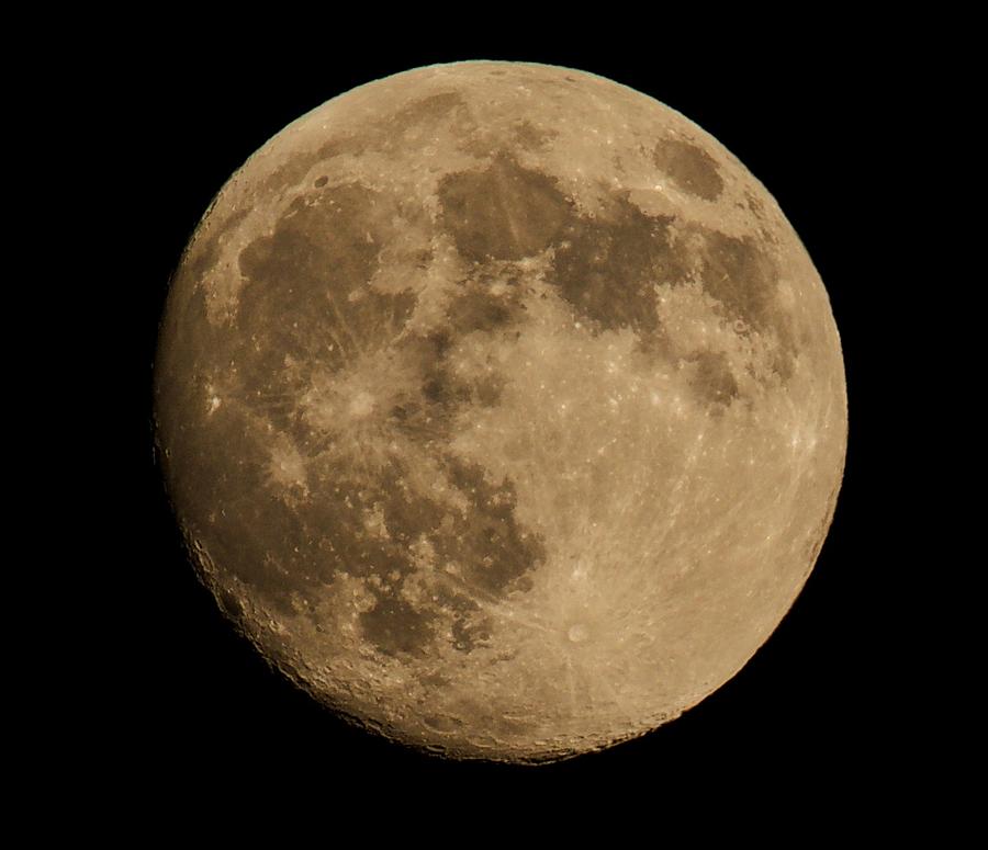 You have been MOONED Photograph by Terri McLellan | Pixels