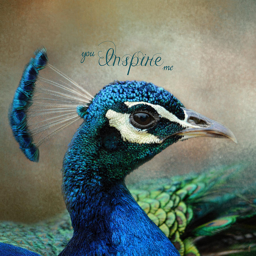You Inspire Me - Peacock Art Photograph by Jai Johnson