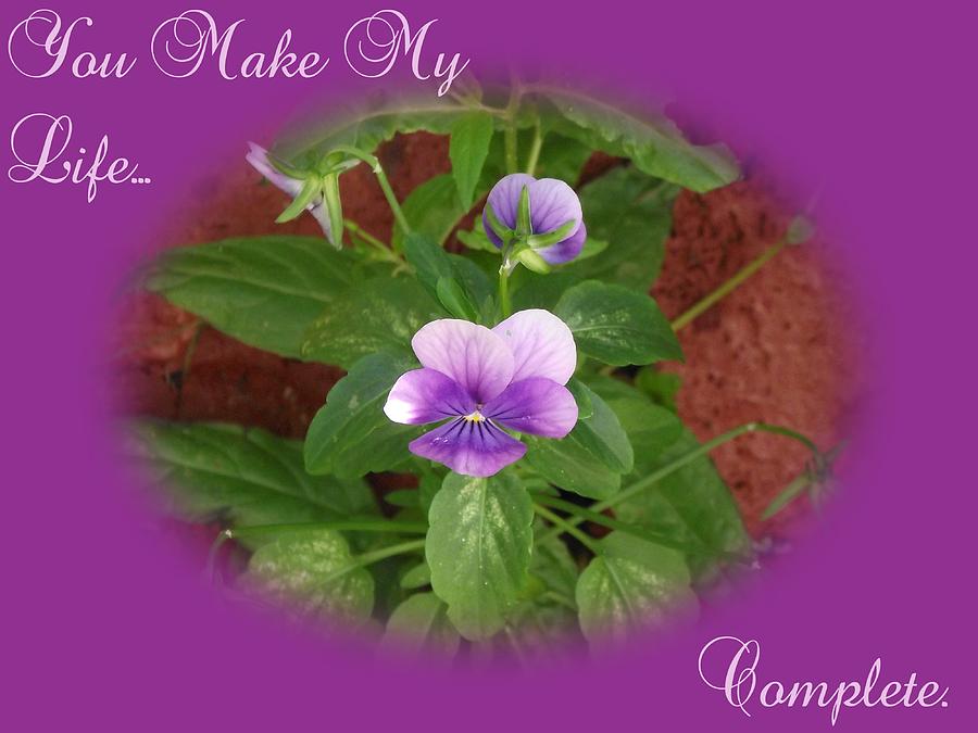 Summer Photograph - You make My Life....  purple by Dawn Hay