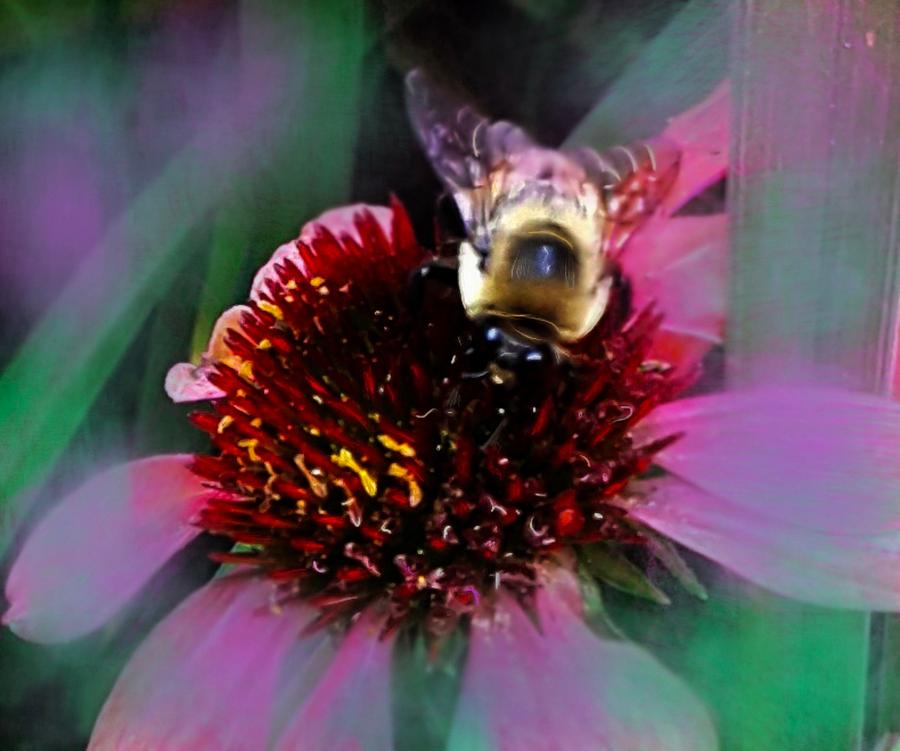 Flowers Still Life Photograph - You Need Coffee, I Need Nectar by Lauries Intuitive