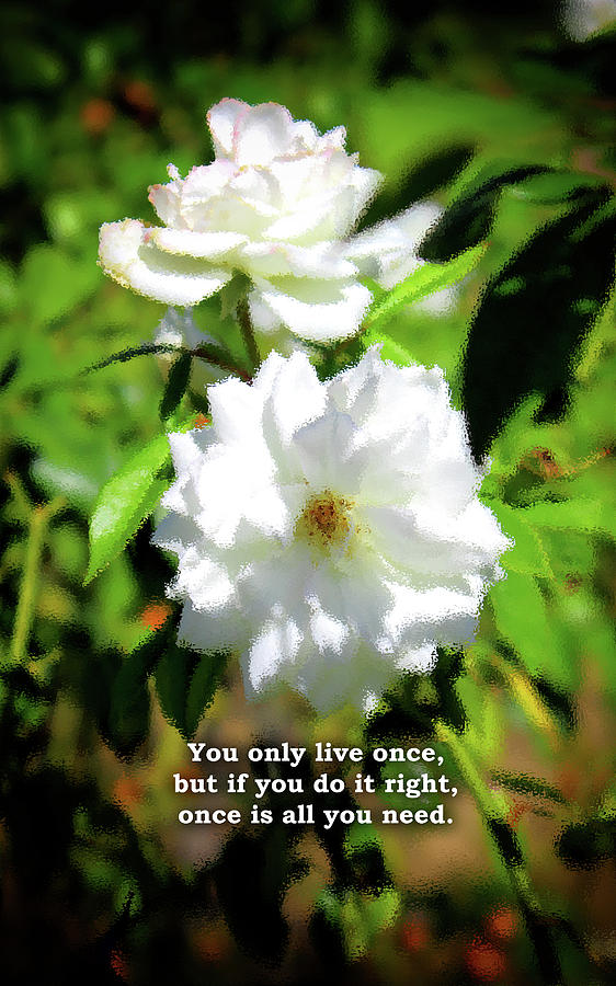 You only live once Motivational quotes Photograph by Daniel Ghioldi
