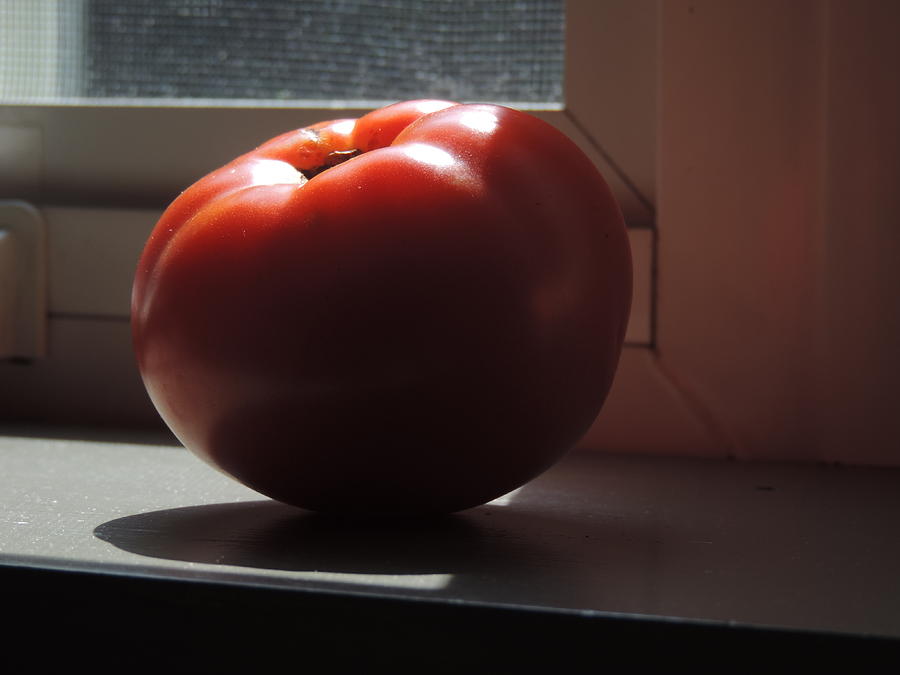 You Say Tomato Photograph by Bill Tomsa