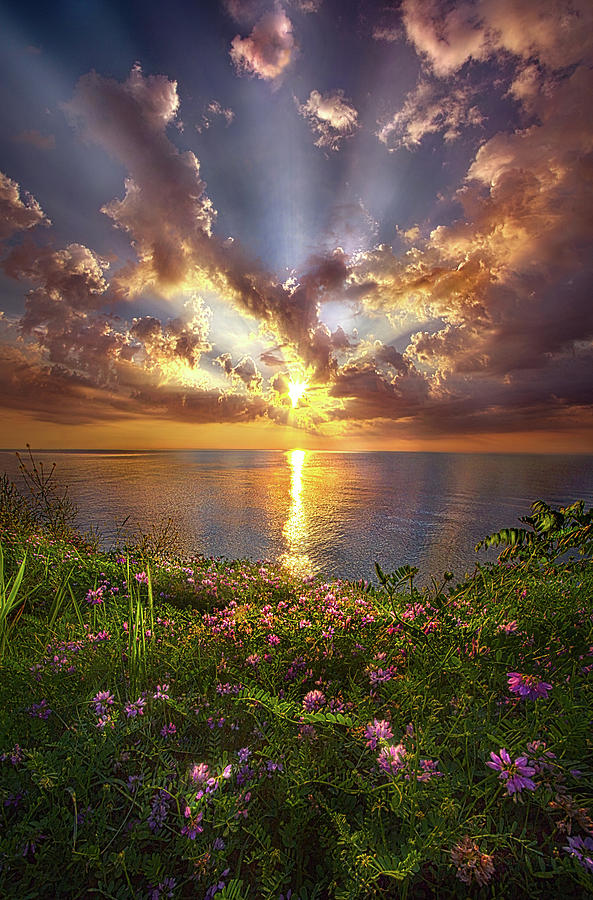 You Sing To My Spirit Photograph by Phil Koch