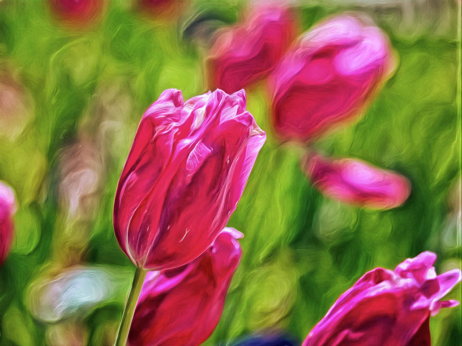 I Touch Roses Digital Art by Doctor MEHTA I Touch Roses Digital Art by Doctor MEHTA