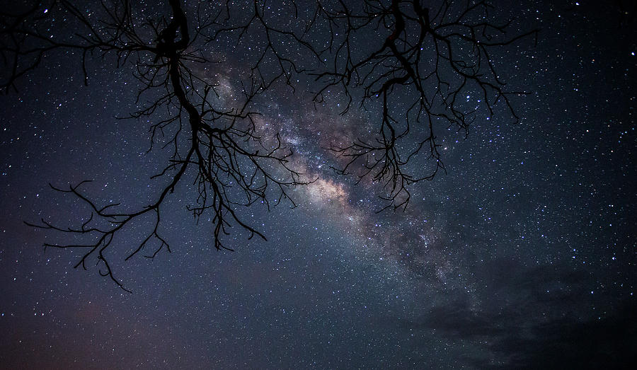 Milky Way Photograph - You Were Meant to be Free by Luis Figuer