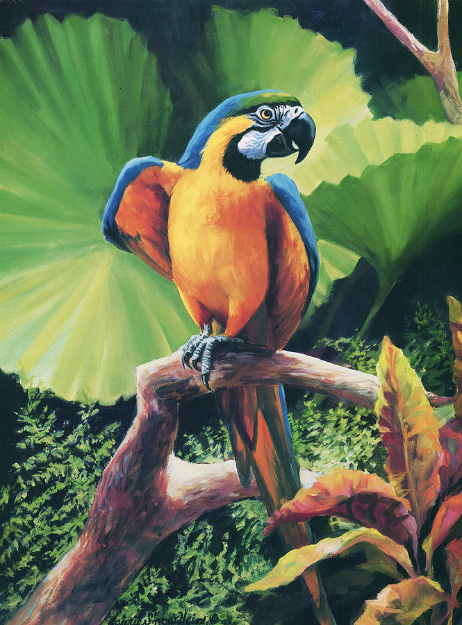 Macaw Painting - You Got To Be Kidding by Laurie Snow Hein