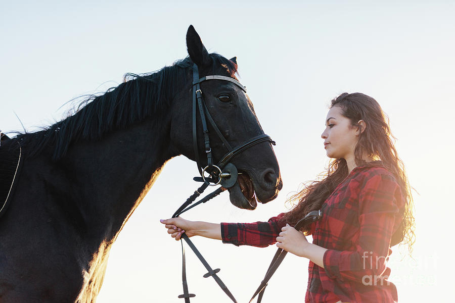 Young attractive girl holding a bay horse on a harness. Photograph by Michal Bednarek