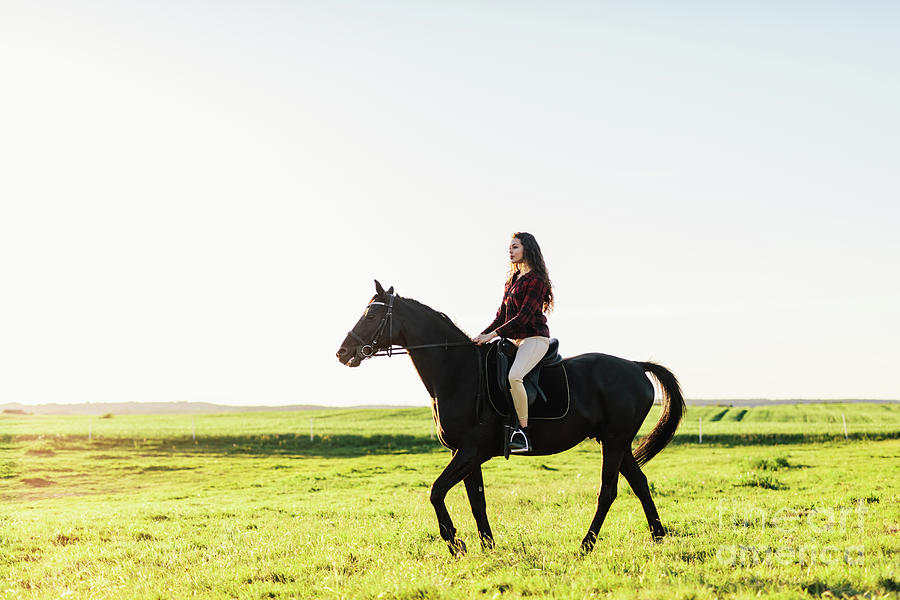 Young attractive girl riding on a bay horse. Photograph by Michal Bednarek