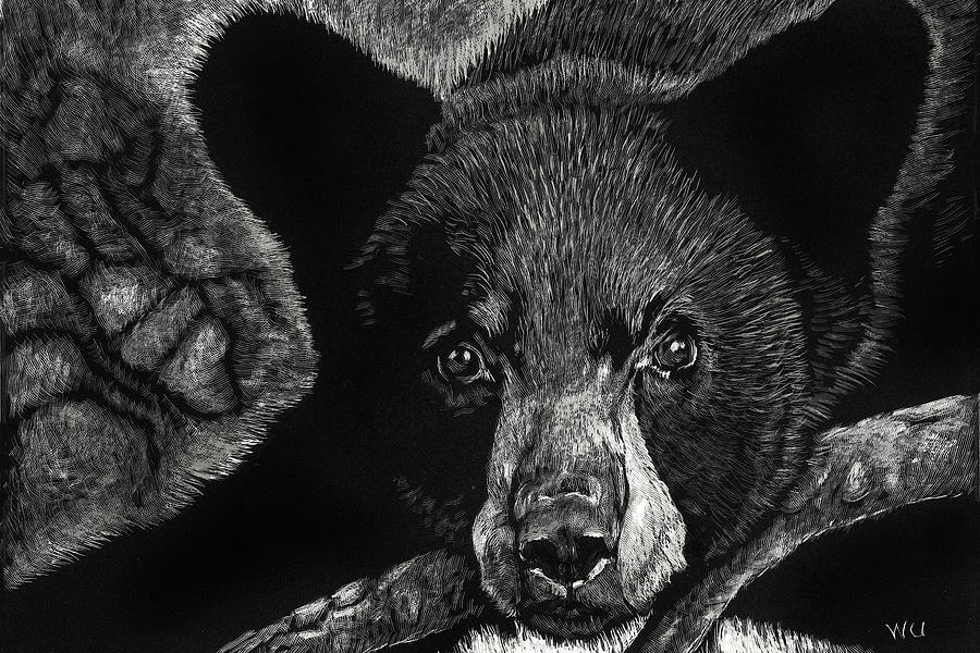 Young Black Bear Drawing by William Underwood