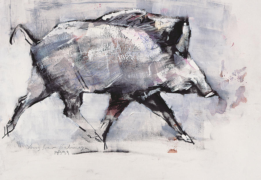 Animal Painting - Young boar by Mark Adlington