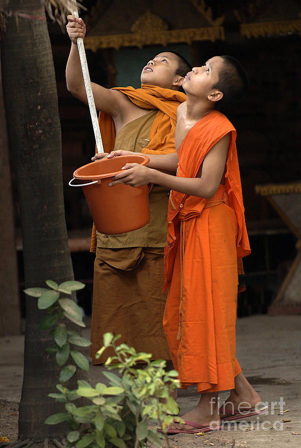 Young Buddhist Monks Laos 2 Photograph by Bob Christopher