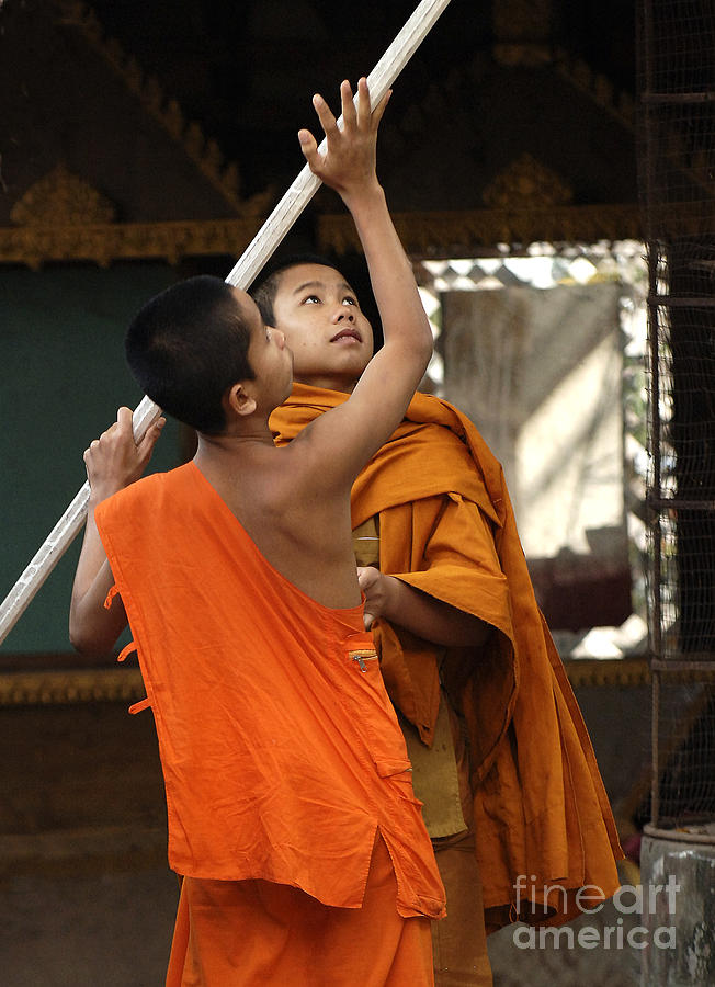 Young Buddhist Monks Laos Photograph by Bob Christopher